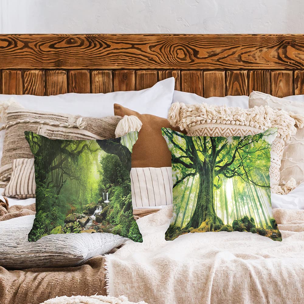 Ulticool, Cushion Cover, Natural Trees Waterfall, Set of 2 Designs, 45 cm x 45 cm, Decorative Cushion without Filling - Image 2