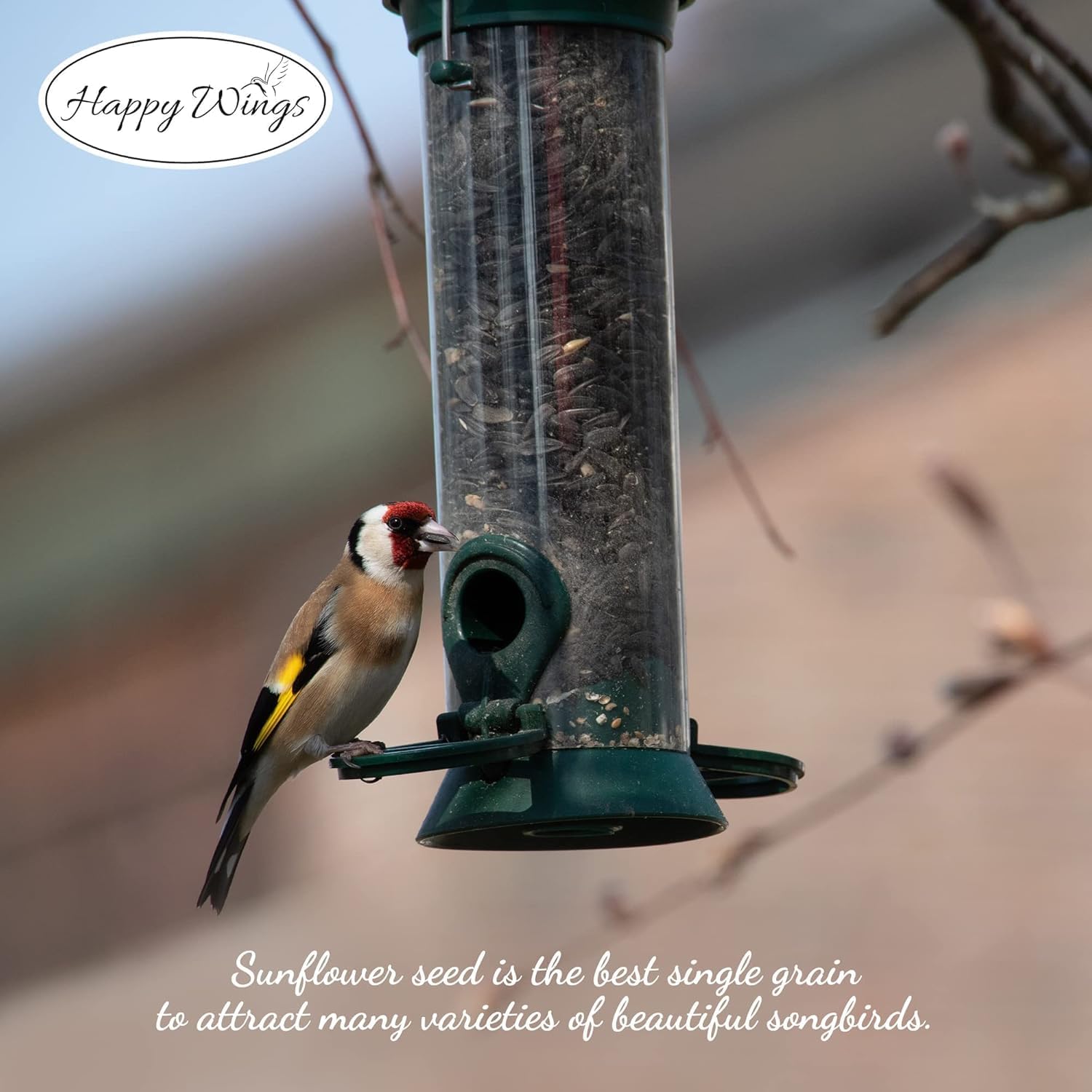 Happy Wings Black Oil Sunflower Seeds for Wild Birds 5 lbs- Combo Pack of 2 I No Grow Seed I High-Energy Bird Food Ideal for Finches, Sparrows, and More I All Year-Round Feeding.