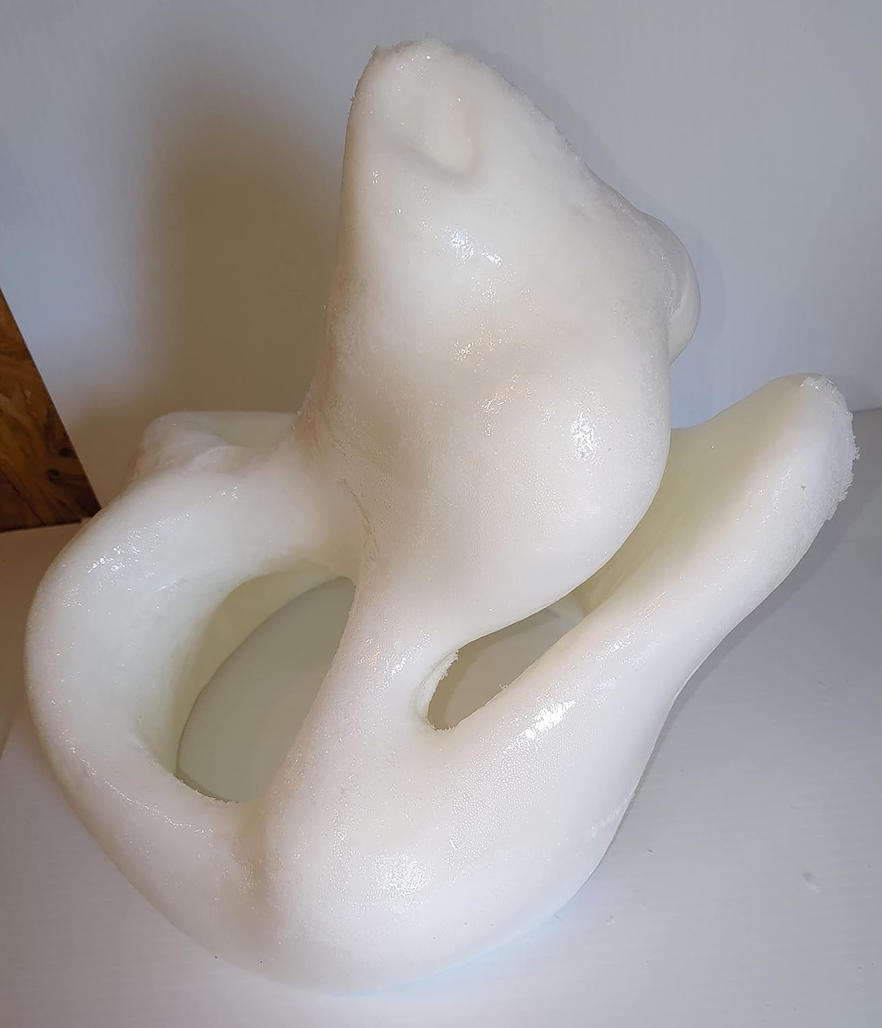 Sam the Canine, Foam Furry Fursuit Head Base for Fursuiting and Cosplay DIY