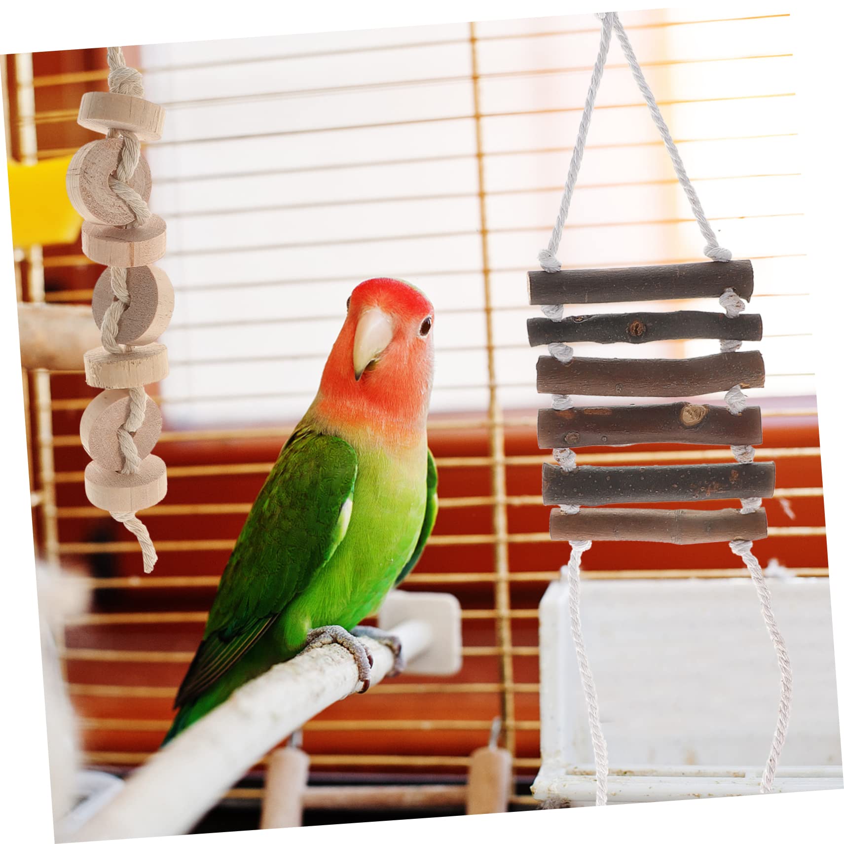 TOYANDONA 9pièces Jouets pour Oiseaux Jouets Élastiques pour Perroquets Cachette Noix De pour Cages à Oiseaux pour Perruches Et Calopsittes