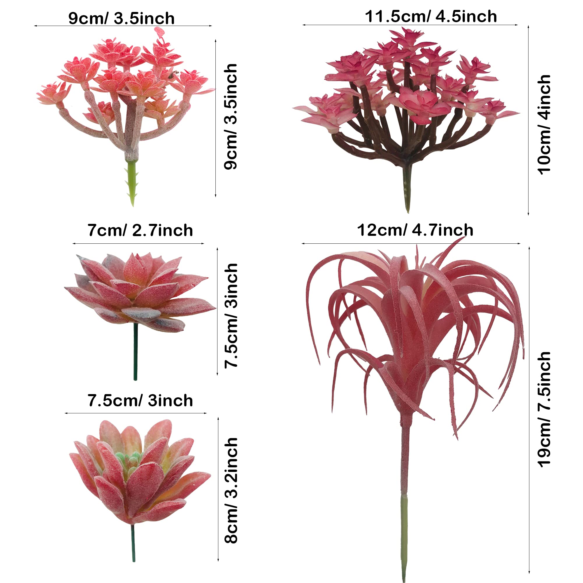Amazon.co.jp: Cayway 人工多肉植物 12個 赤色フェイク多肉植物