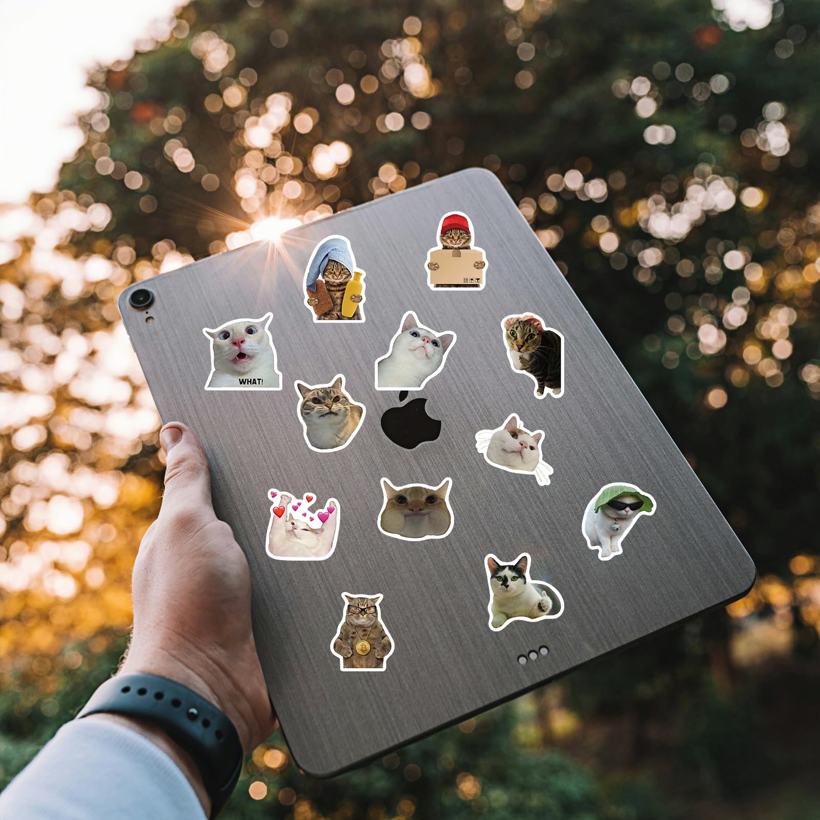 50 calcomanías de gato, divertidas calcomanías de gato de meme, calcomanías de gato kawaii para niños, adolescentes y adultos, calcomanías de vinilo impermeables para laptop, teléfono, botellas de