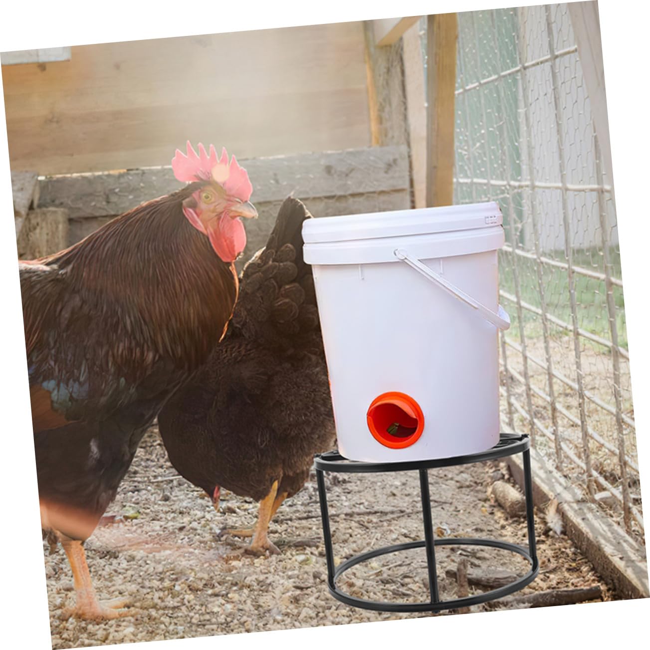 Abaodam Supporto per Mangiatoia e Porta Abbeveratoio in Metallo Resistente da 2 Pezzi per Pollaio, Telaio Stabile Struttura a 4 Gambe, Adatto per Alimentazione e Abbeveraggio Polli