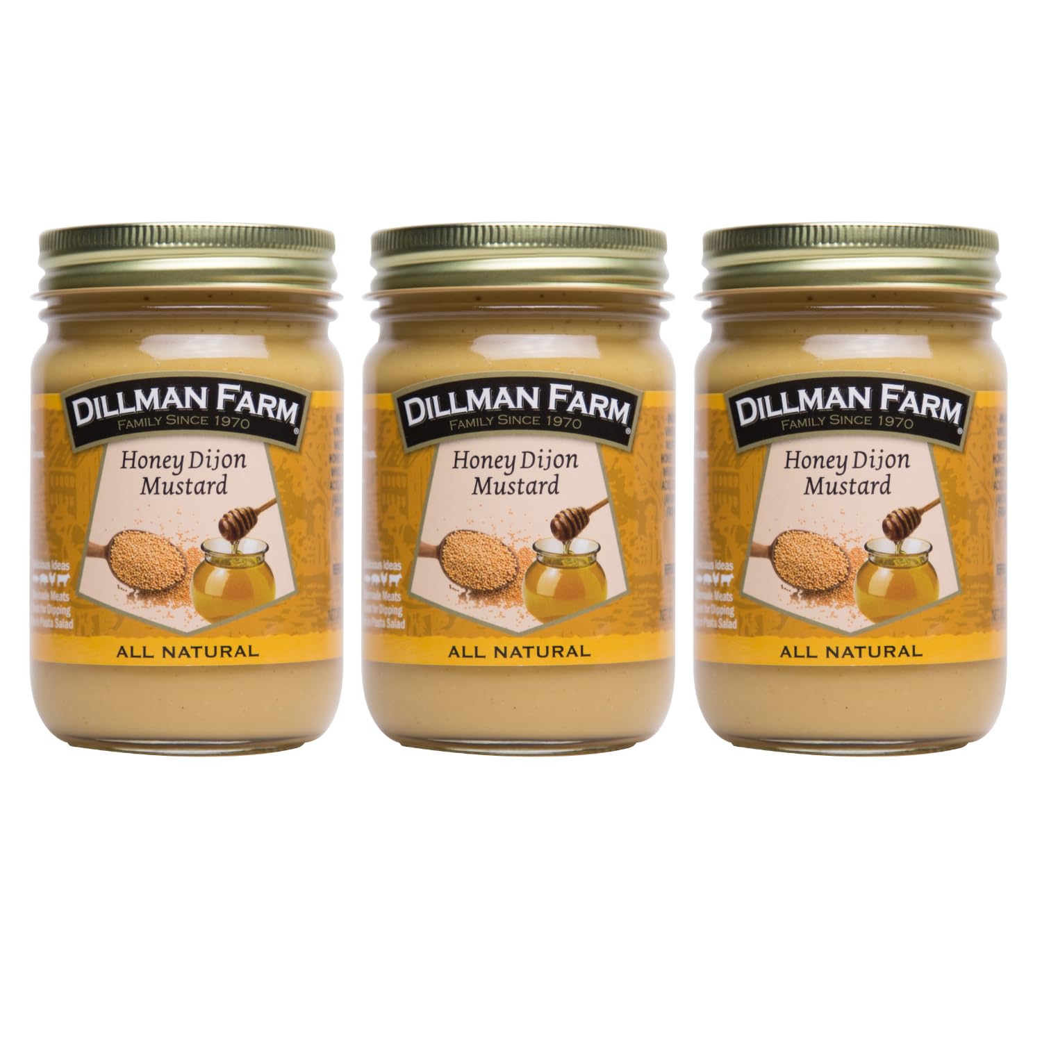 Dillman Farm All Natural Gourmet Honey Dijon Mustard - Gluten-Free, Non-GMO, Vegan, Kosher, Eco-Friendly, Preservative Free, Corn Syrup Free - Made in USA, 14oz (Pack of 3)