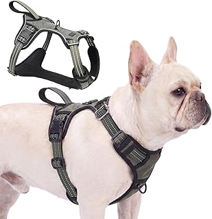 Anti Zug Hundegeschirr, Anti Zieh Geschirr für Hunde mit Griff, Verstellbar Reflektierend Atmungsaktiv Hundegeschirr, Brustgeschirr für Kleine Mittlere Grosse Hunde (Armeegrün, S)