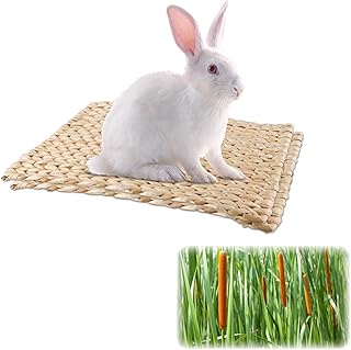 2pcs Pet Toy Mat&Bed Cattail Woven Grass mat for Rabbit Cage,Cat,Hamster,Chinea Pig,Mouse,Bird,Parrot and Other