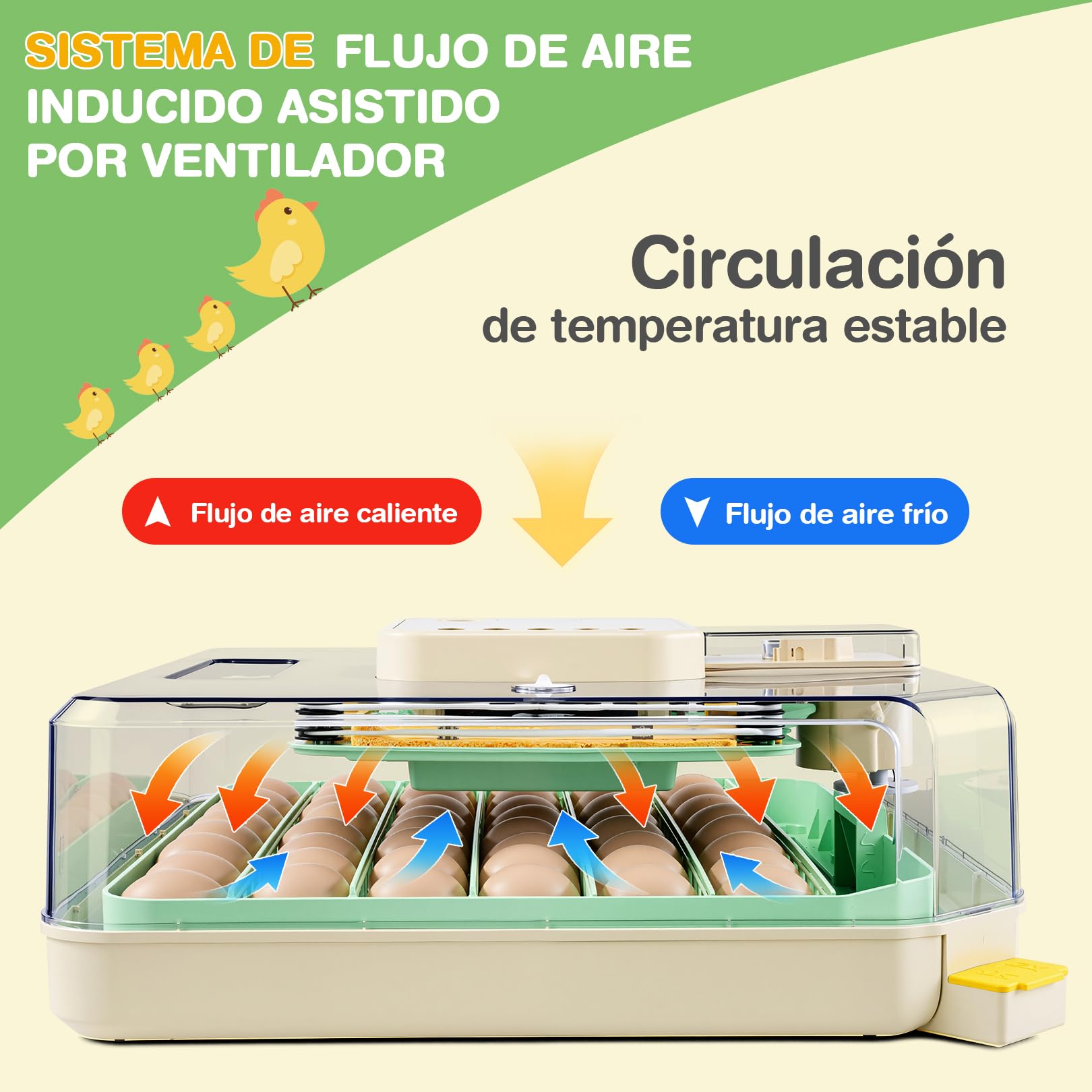 Sailnovo Incubadora de Huevos Automática 48 Huevos con Control Preciso Temperatura/Humedad, Volteador Automático de Huevos, Vista 360°, Ovoscopio Para Huevos, Para Gallina/Pato/Codorniz,Verde