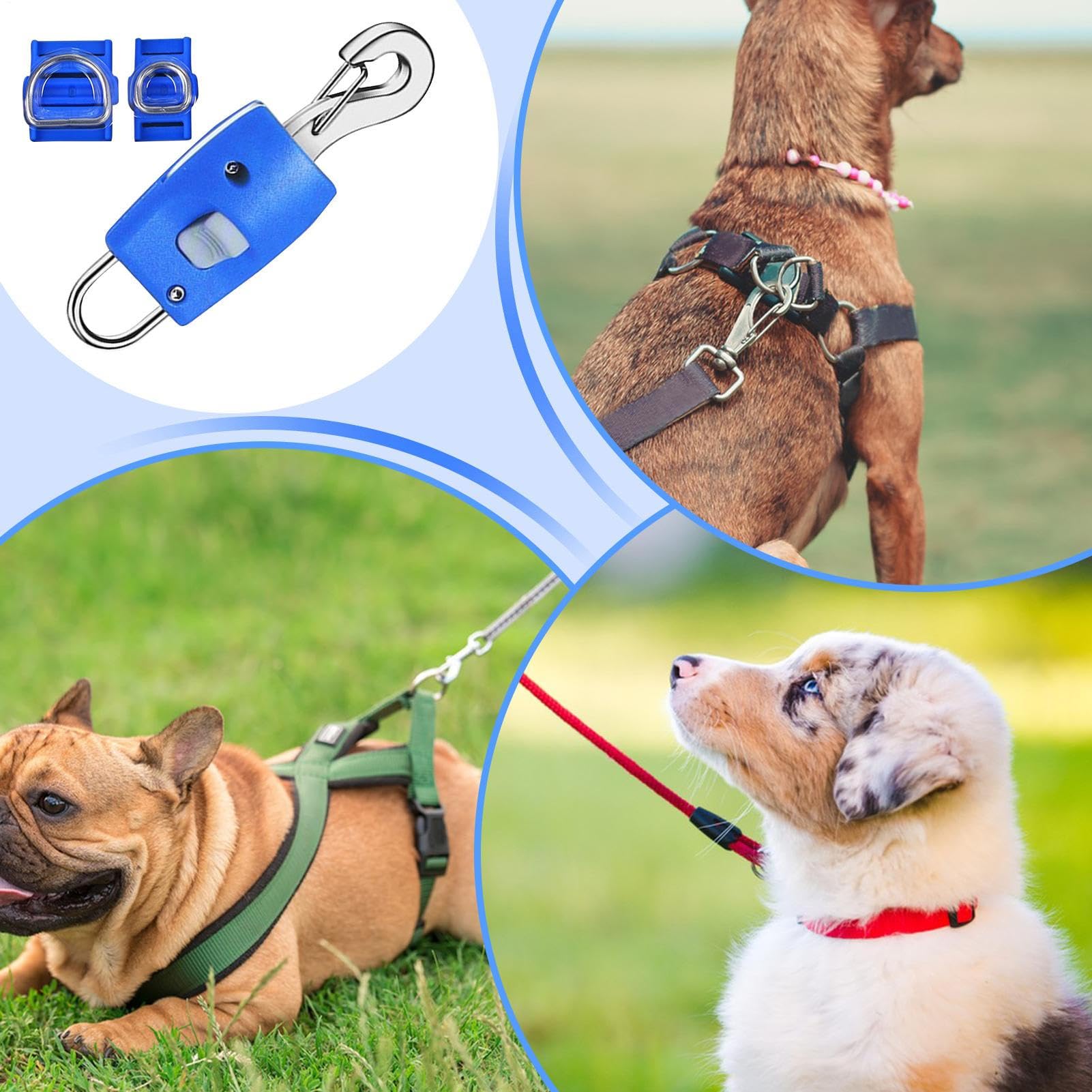 Amazon | 犬のリースクリップ、犬のリーシュセーフティクリップ