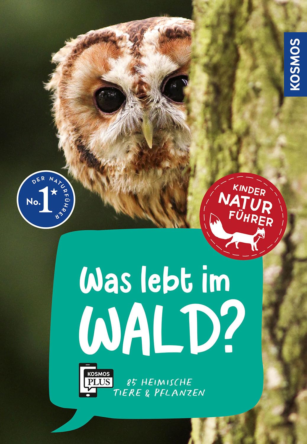 Was lebt im Wald