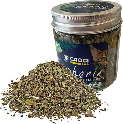 Croci Euphoria - Pot d'herbe à Chat, Herbe à Chat