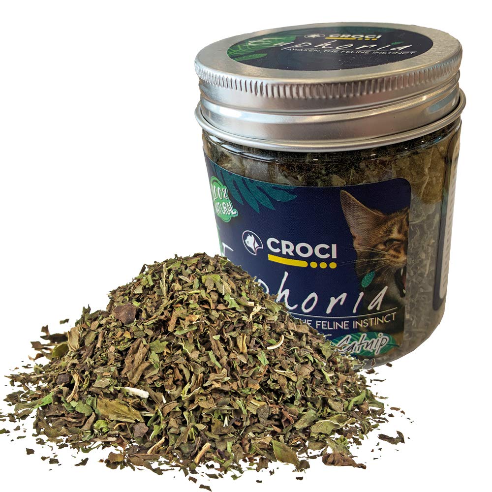 Croci Euphoria - Tarro de Hierba gatera Seca Natural picada, Atractivo para Gatos, 25 g