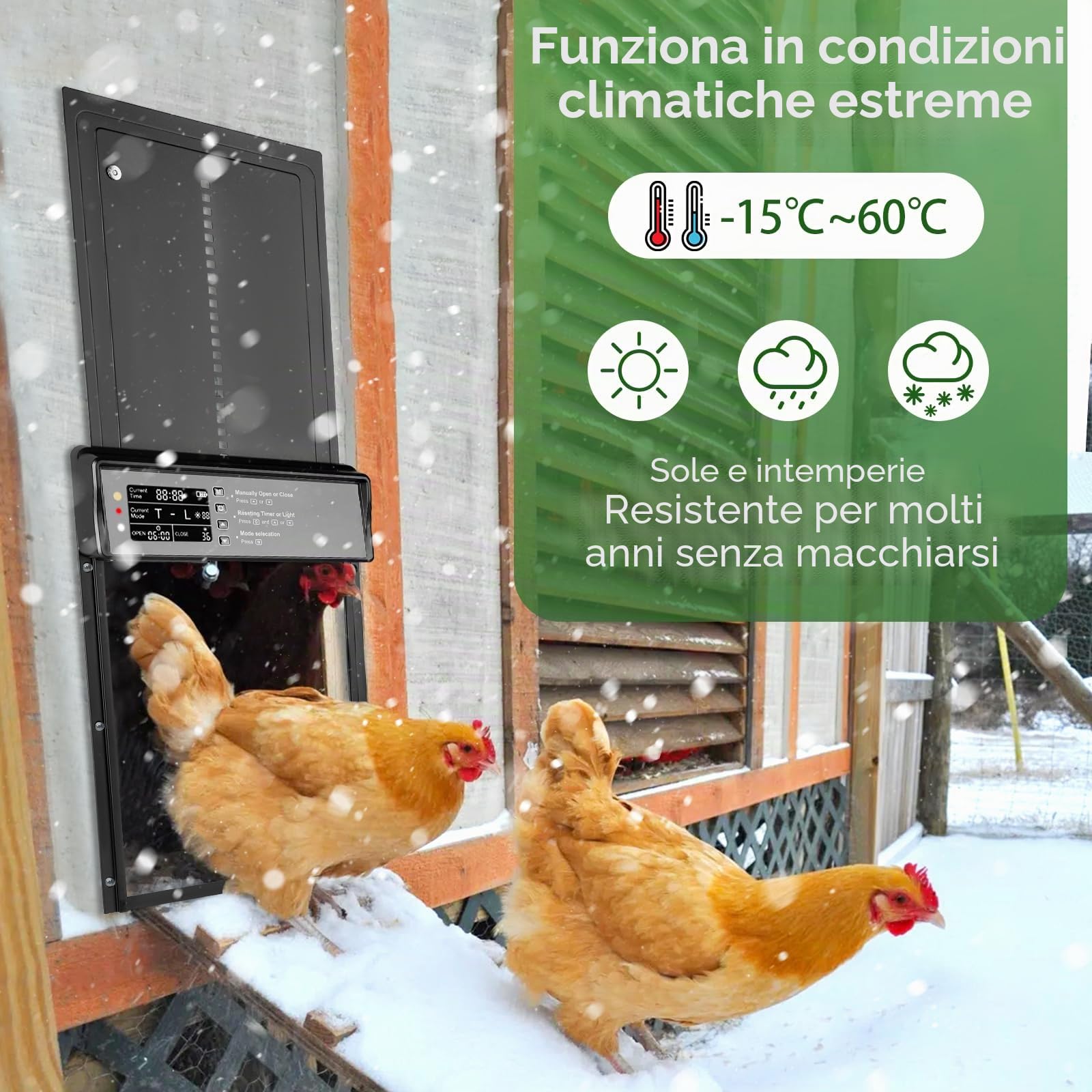 Porta Automatica per Pollaio Solare, Porta Pollaio Automatica in Alluminio con Schermo LCD Programmabile, Telecomando, Puerta Gallinero Automatica per Azienda Agricola