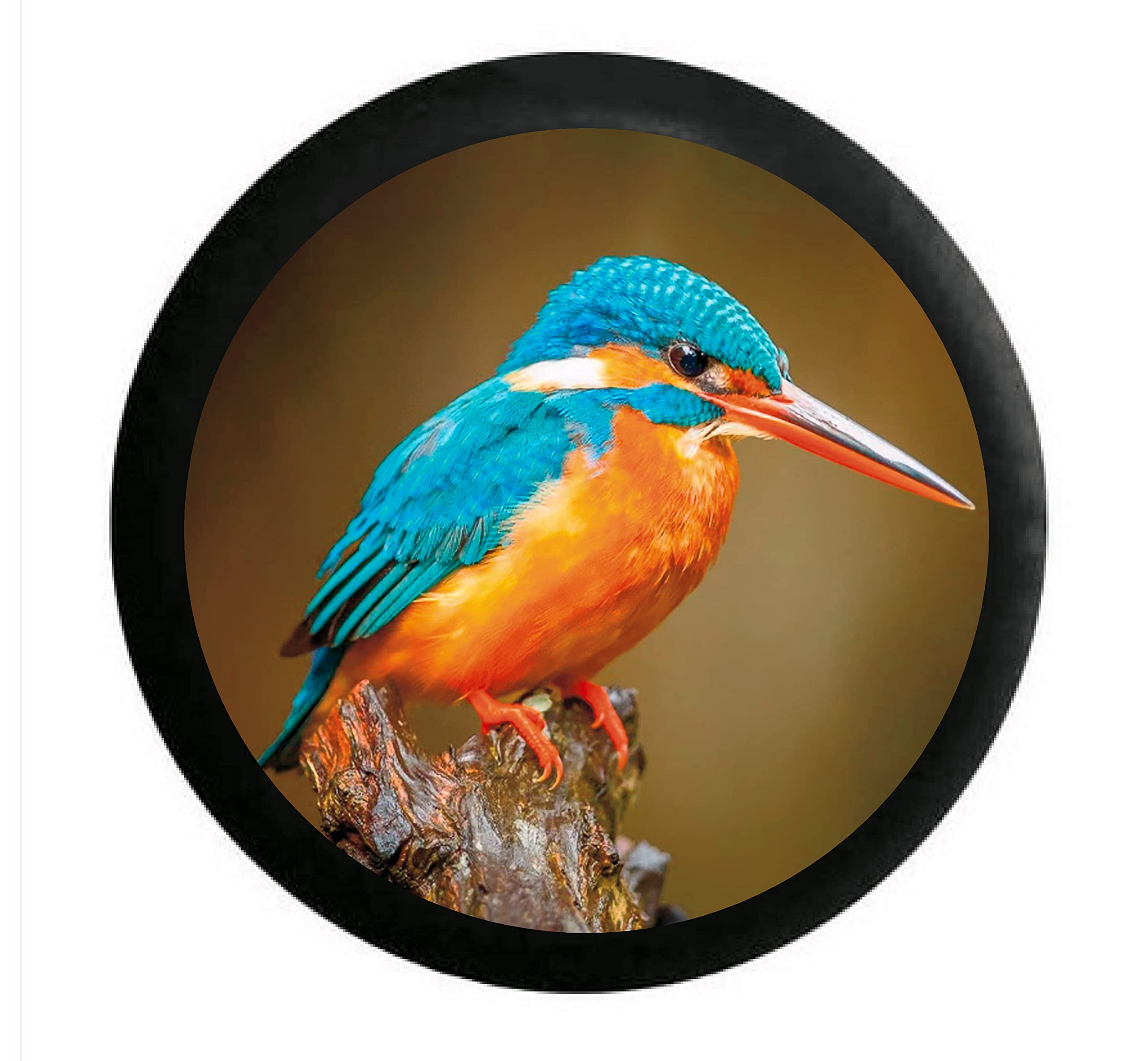 LightningSigns Kingfisher Vinyl, Gamekeeper, Car, Van, Wall, Spare Wheel Cover, Sticker Decal