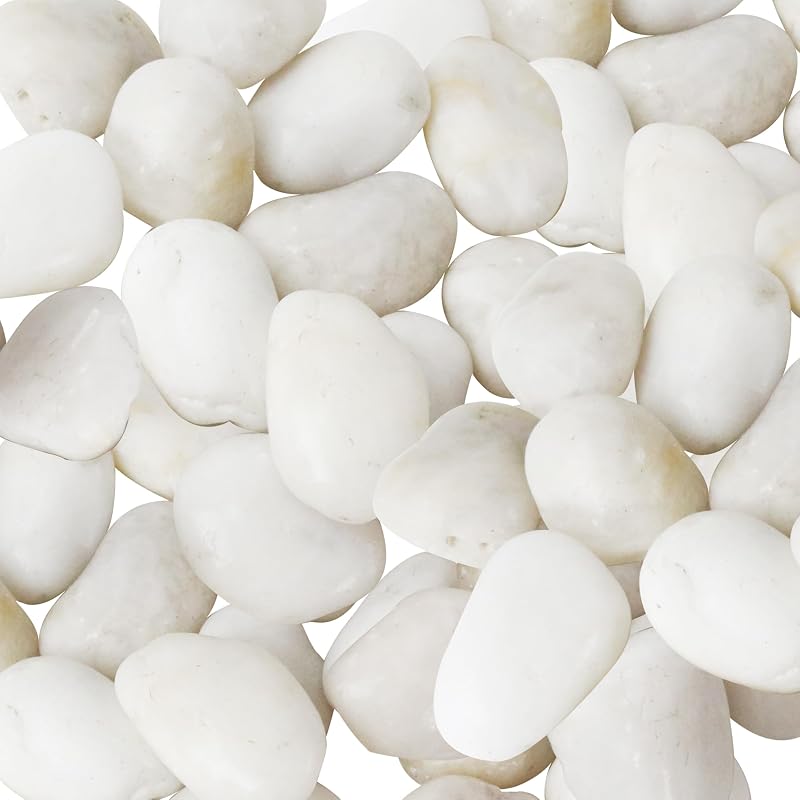 Rocas de río blancas de 5 libras, guijarros naturales de 2 a 3 pulgadas para paisajismo | Rocas blancas para paisajismo, piedras decorativas muy pulidas, relleno de jarrón, peceras, acuarios, jardín, plantas de interior y exterior