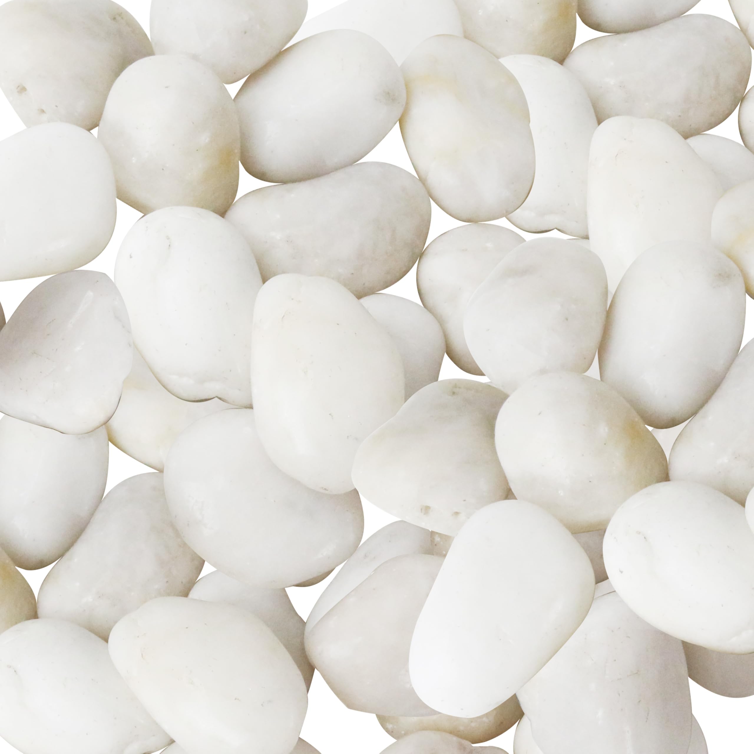 Sunnyglade 18 LBS White River Rocks, 2-3 Inch Natural Pebbles for Indoor Plants, High Polished Decorative Stones Vase Filler Fish Tank Aquariums Landscaping Garden Outdoor and Indoor DIY (18 Pounds)