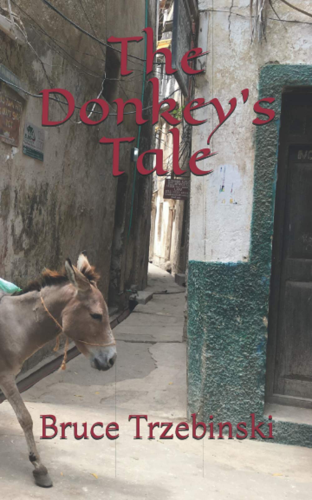 The Donkey's Tale