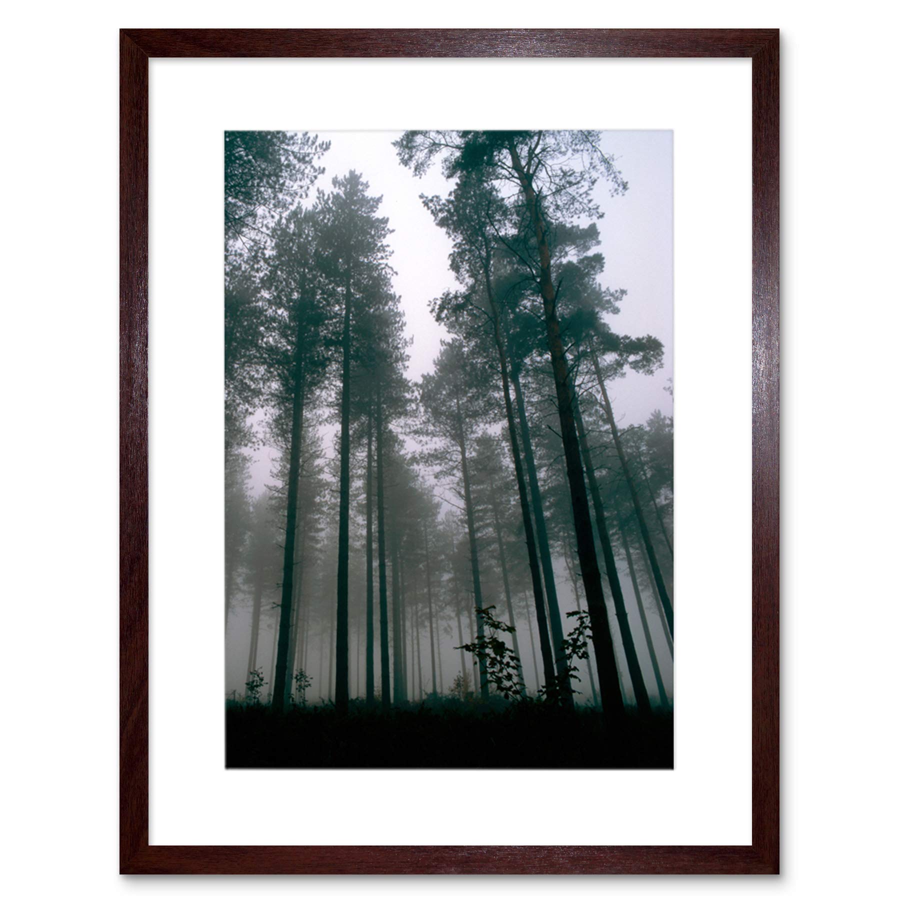 Wee Blue Coo Thetford Forest Trees Mist Art Framed Wall Art Print