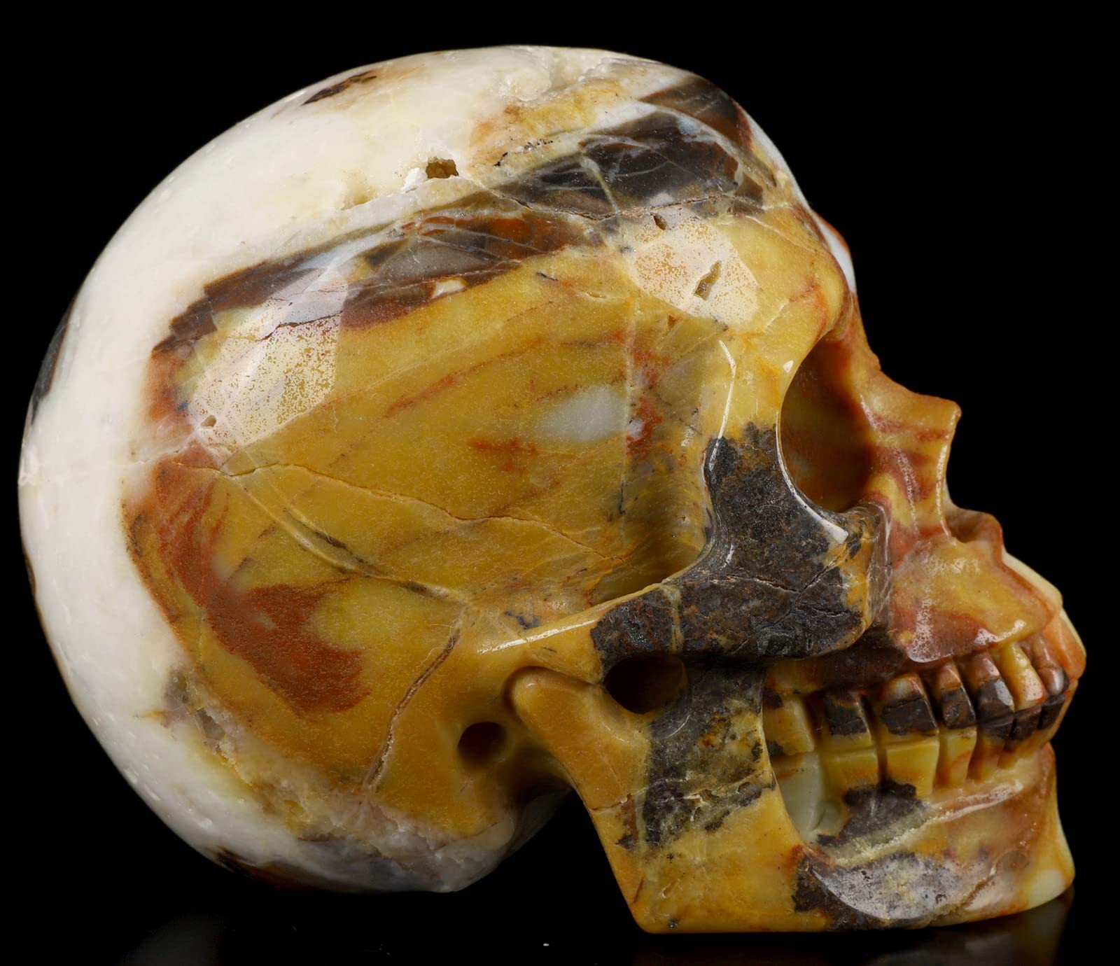 Amazon.co.jp: Skullis 5.0インチ 中国アマゾナイト クリスタル スカル