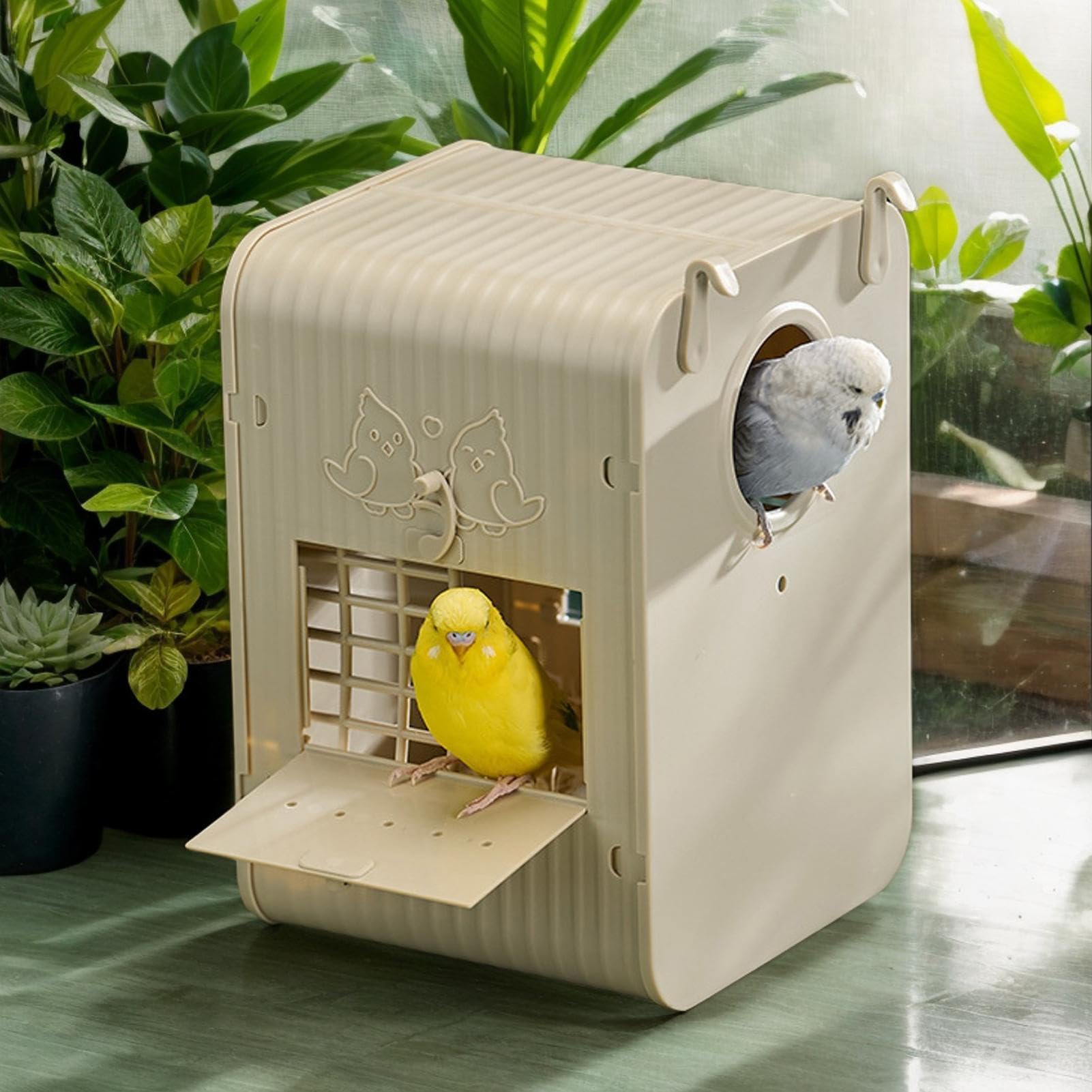 Per Parrocchetti Per Pappagalli Con Integrata | Cassetta Conuri Conservazione Natura Birdwatching Giardino Balcone Osservazione Educativa Habitat Fauna Selvatica All'Aperto