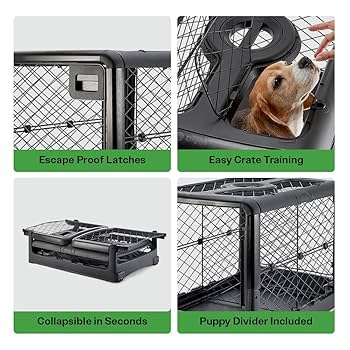 DIGGS PET 折りたたみケージ レボルクレート Amazon.com : DIGGS Revol Collapsible Dog Crate with Wheels