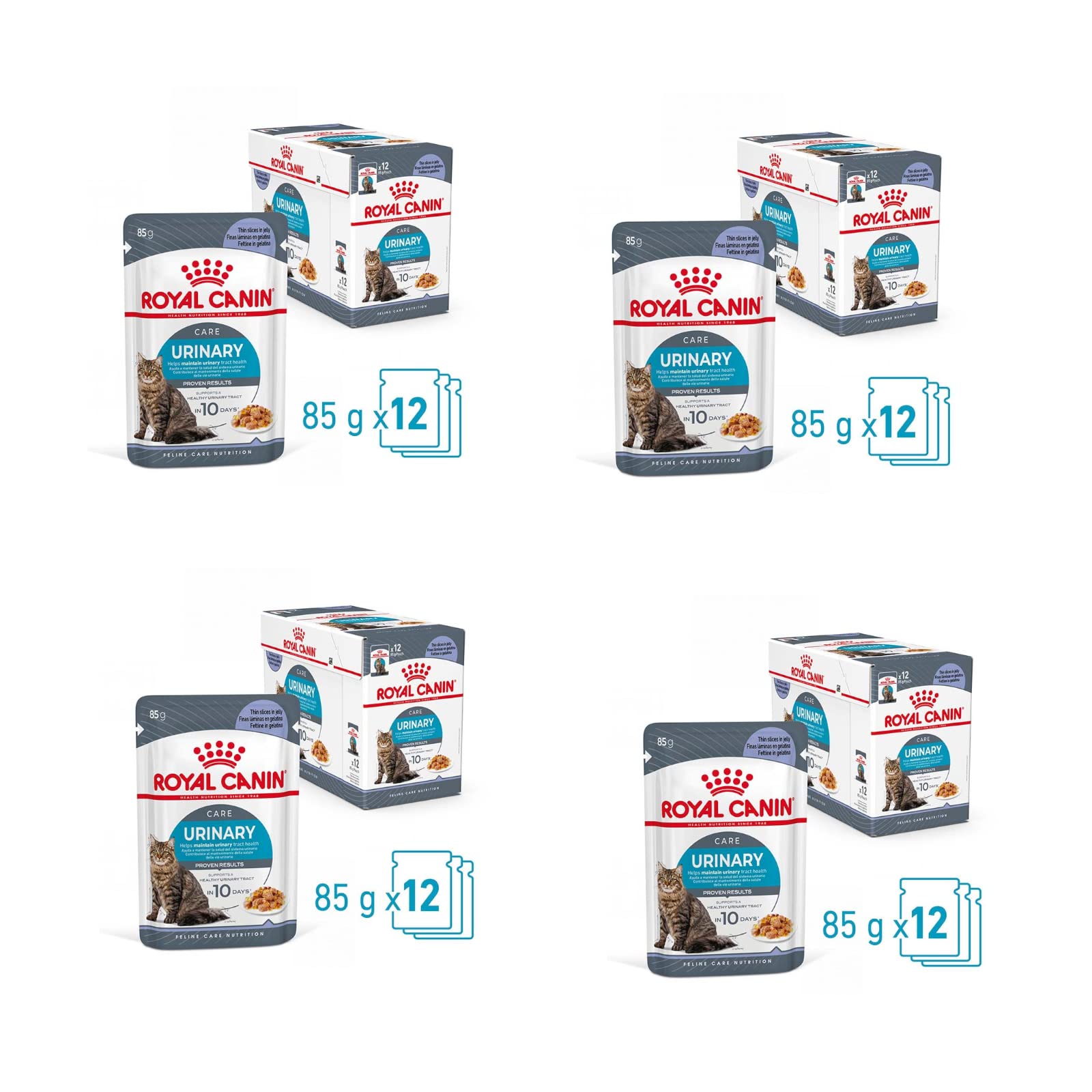 Royal Canin Urinary Care Jelly | Confezione da 4 | 4 x 12 x 85 g | Alimento completo per gatti adulti (gelatina) | Può aiutare a supportare la salute delle vie urinarie | Contenuto minerale bilanciato