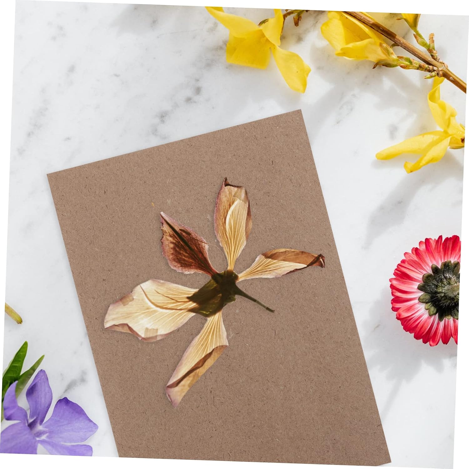 VILLCASE 6sheets Plant Press Embossed Absorbent Board Flower Pressing Plates for Greeting Card Scrapbooking Flower Press Tool