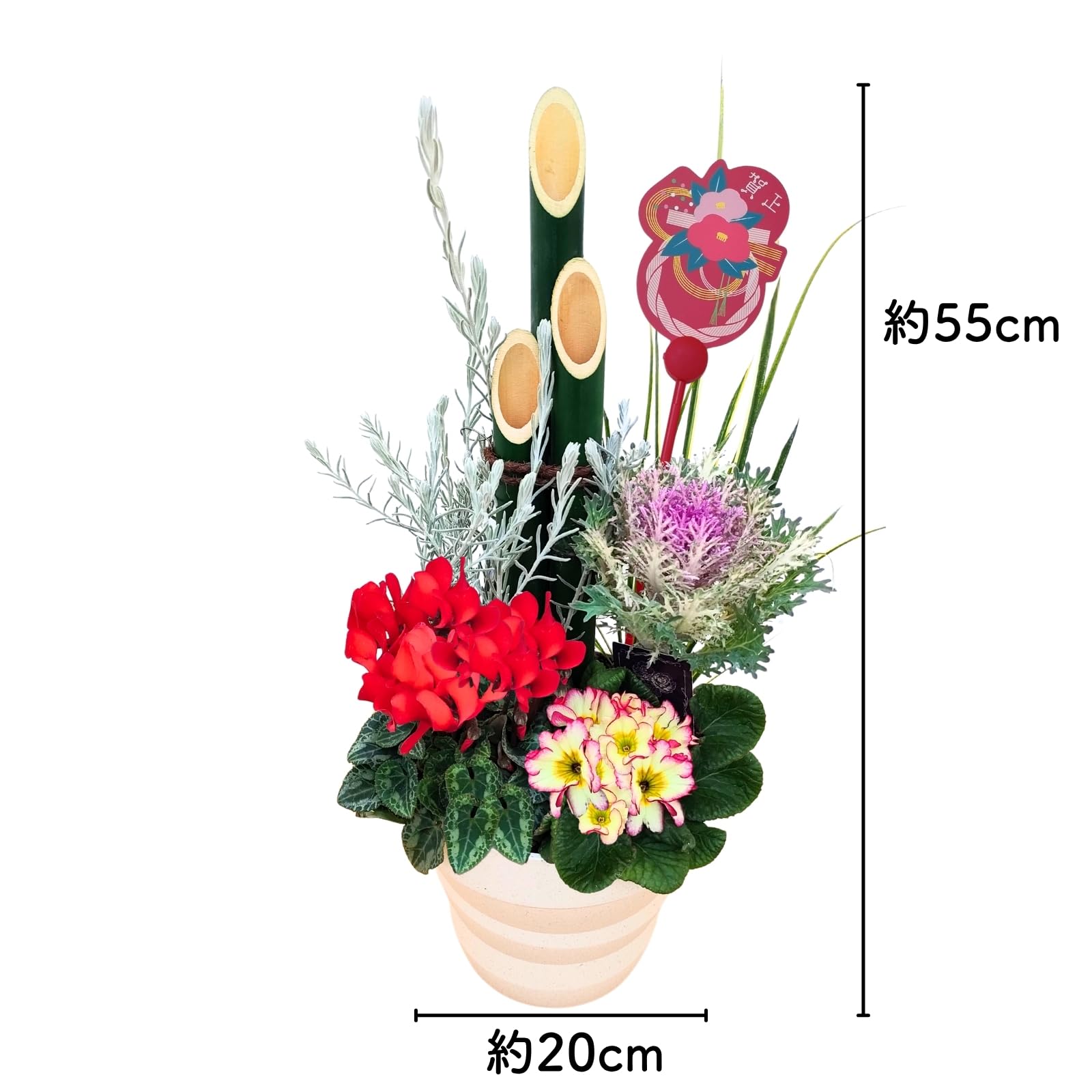 Amazon.co.jp: 【生花】ちょこみる 門松 寄せ植え 生竹 Lサイズ 【単品