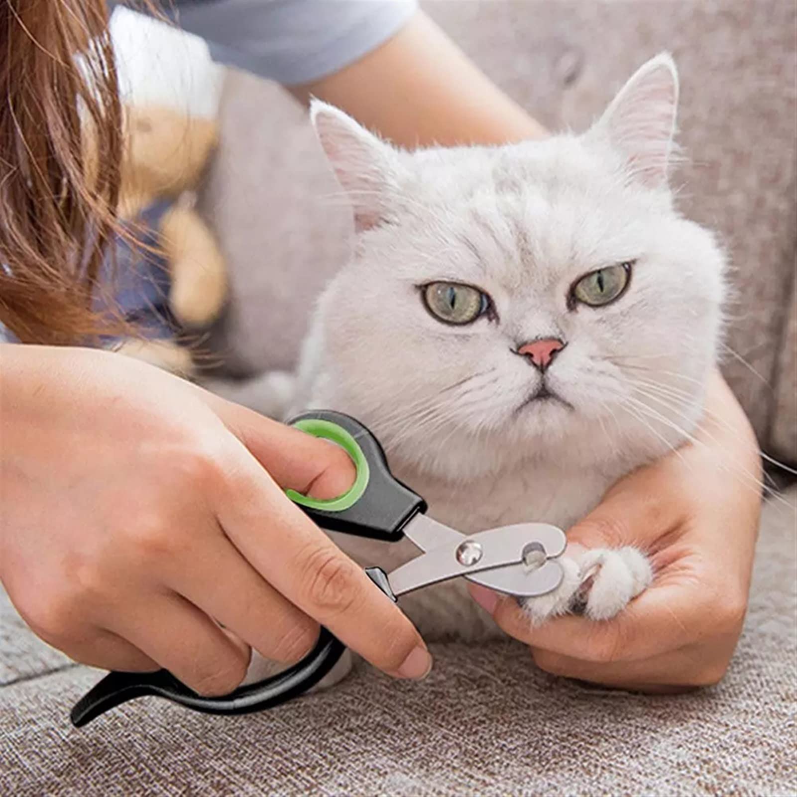 Haustier-Nagelschere, Hundekrallenschneider, Schere, Haustier-Nagelschere for Katzen, Hunde, Welpen, Kätzchen, Hamster, Kaninchen, kleine Tiere, Fellpflegezubehör