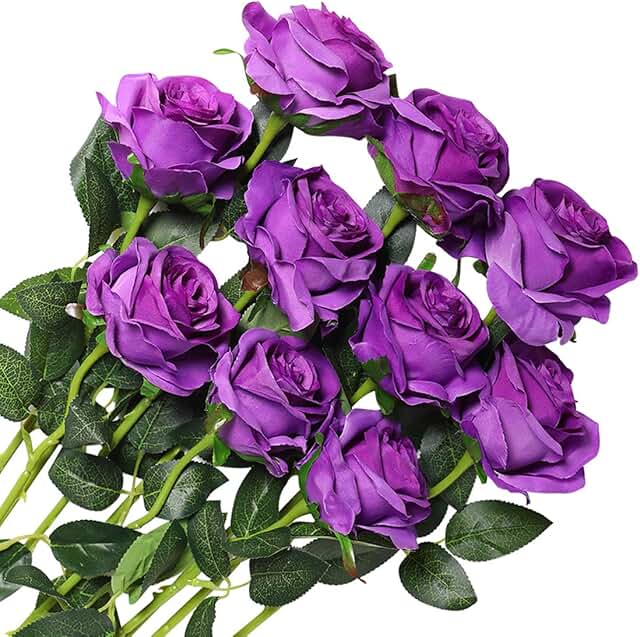 Amazon.co.uk: purple roses