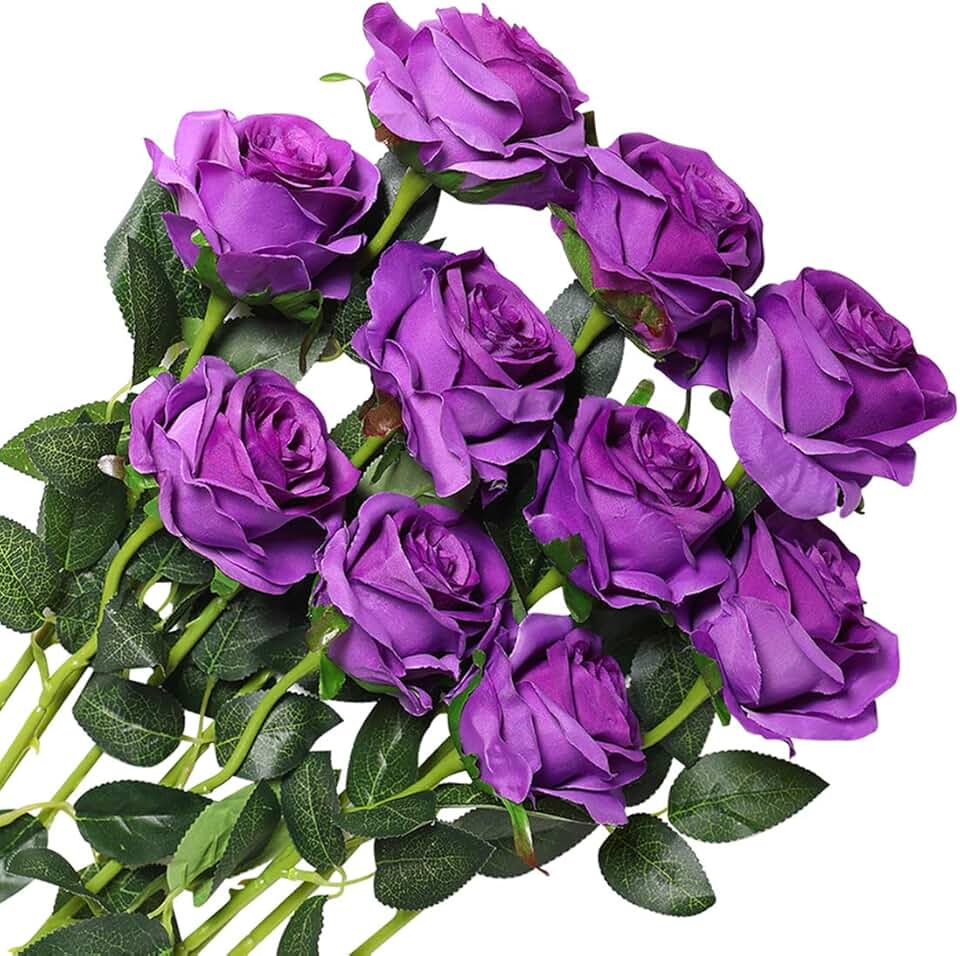 Amazon.co.uk purple roses