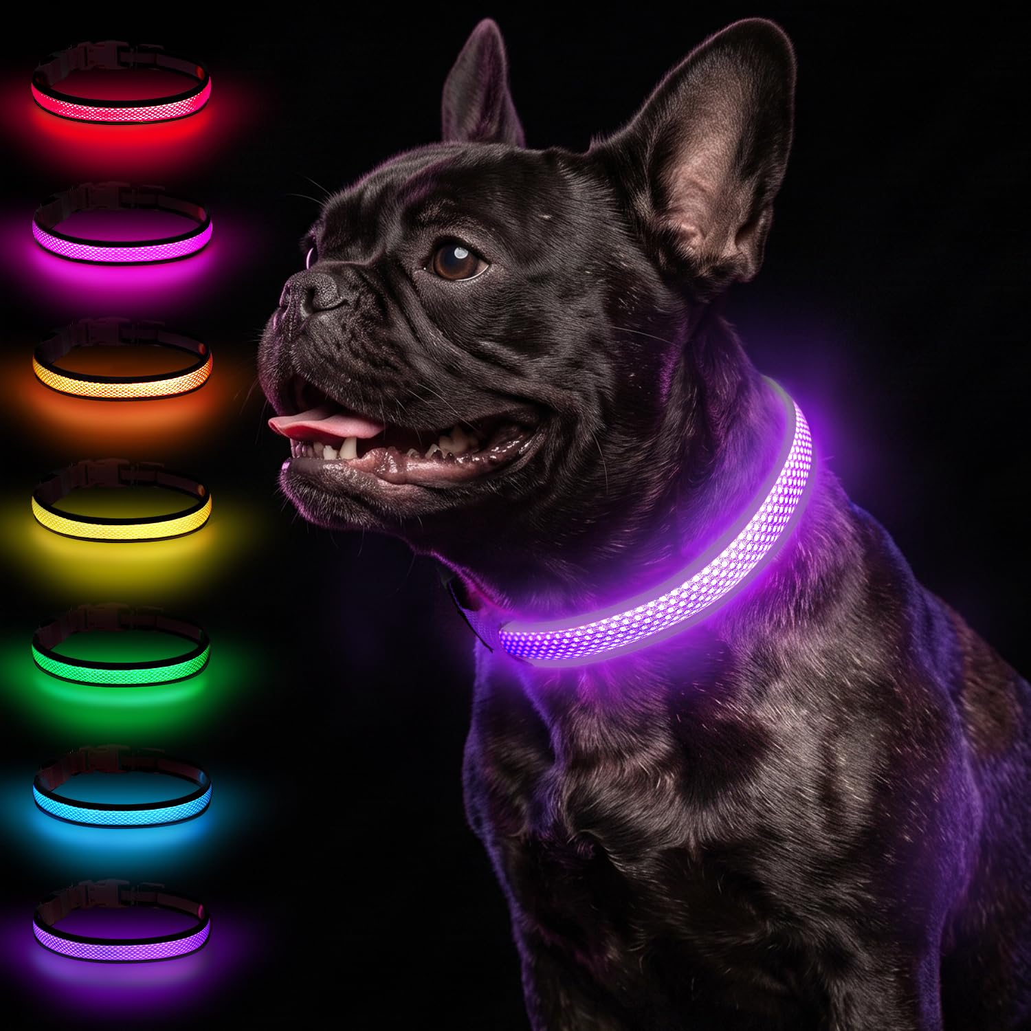 Taglory Light Up Dog Collar for Night Walking, LED Rechargeable, Purple, M