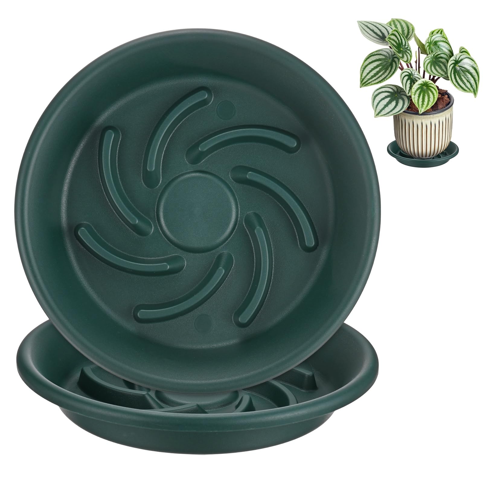 M METERXITY 2-Pack Plant Saucers, 6.3 Inch 16cm ID Anti-Rot Root Resin Flower Pot Plant Saucers for Indoor/Outdoor, Flowerpot Drip Tray [8.3 Inch OD, Dark Green]