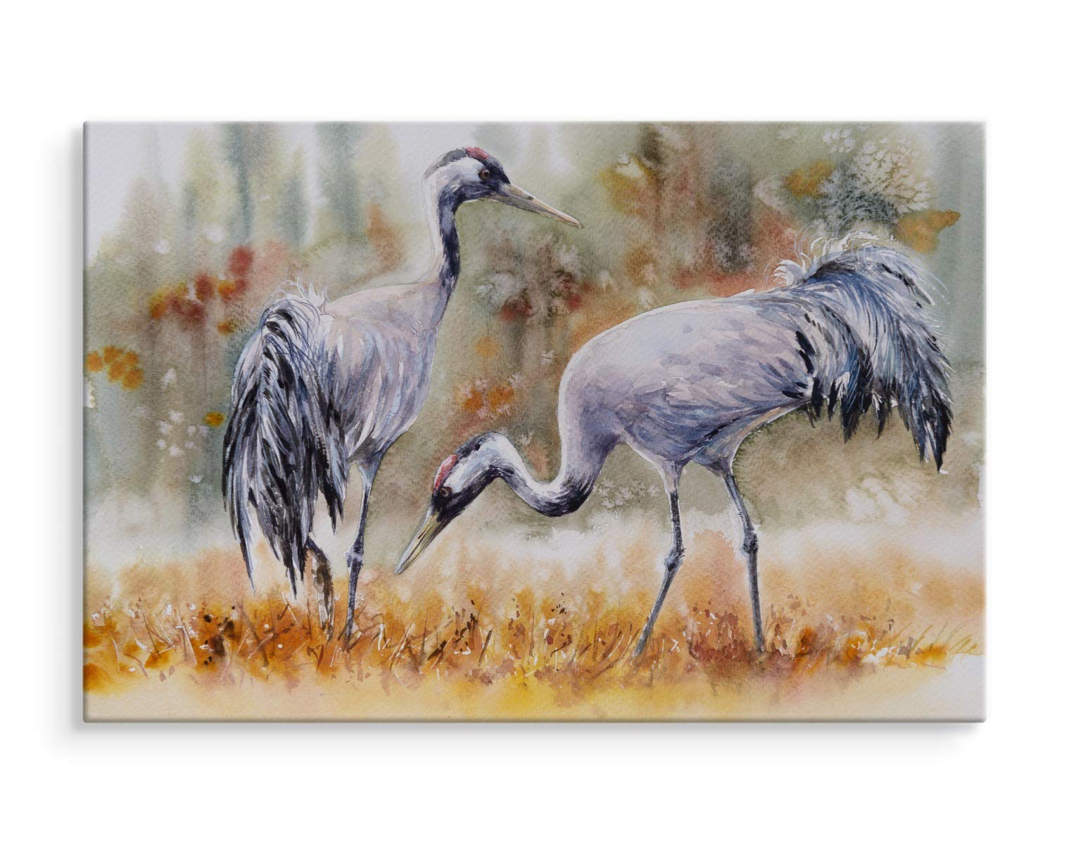 Muralo Wandbild Natur, Kraniche, Feld, Gras, Landschaft, Vögel - 120x80 cm | Leinwandbild, Modernes Design, Fauna und XXL - ideal für Schlafzimmer und Wohnzimmer, Ein echter Hingucker in jedem Zuhause