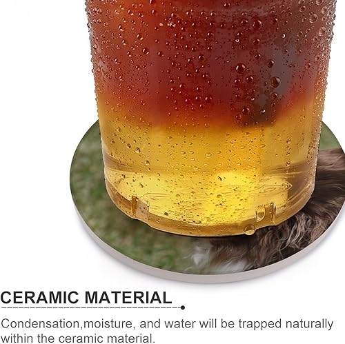 Miniatura 4 de Juego de 4 posavasos de cerámica, posavasos de perro Border Collie de animales, decoración del hogar de granja, posavasos absorbentes con base de