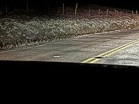 Review Image by bvader