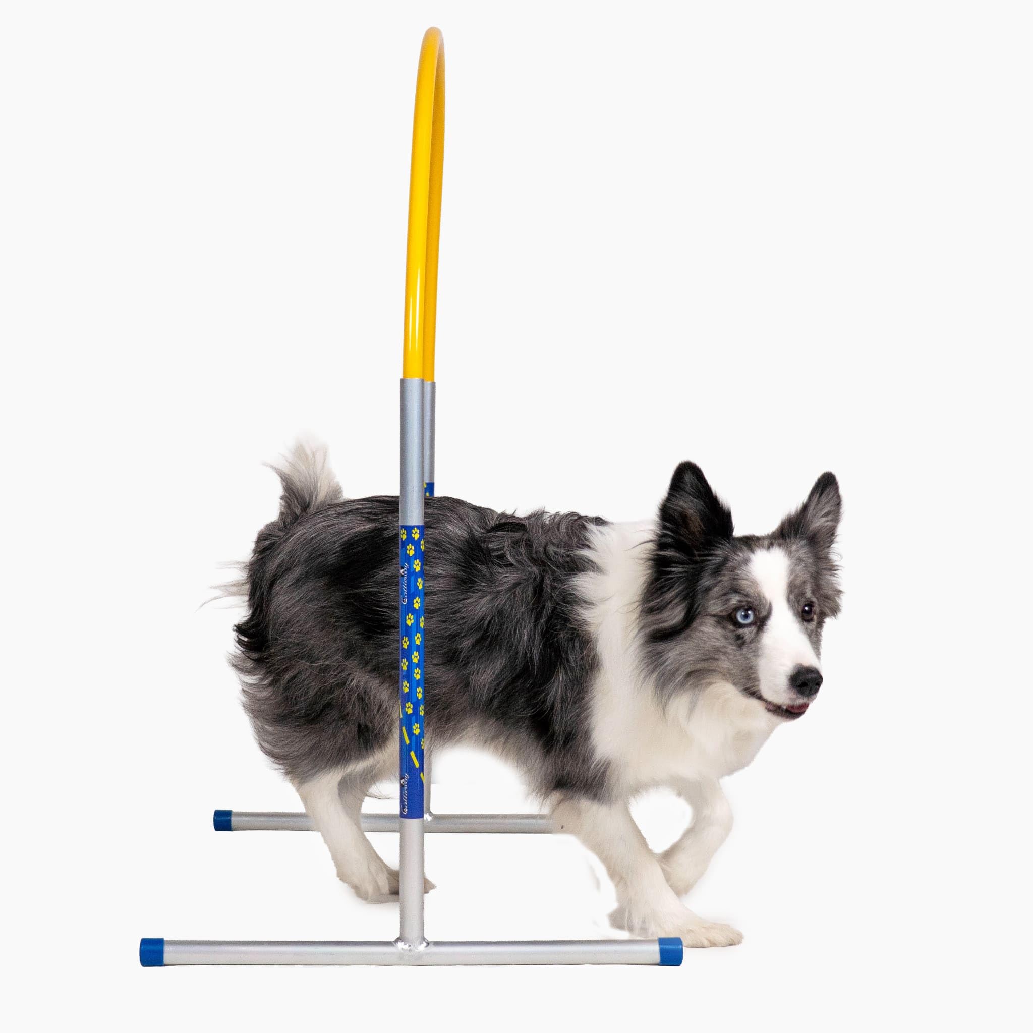 Hoopers Agility Hoops – NADAC Hoopers Agility Hoops senza barra centrale (confezione grande)