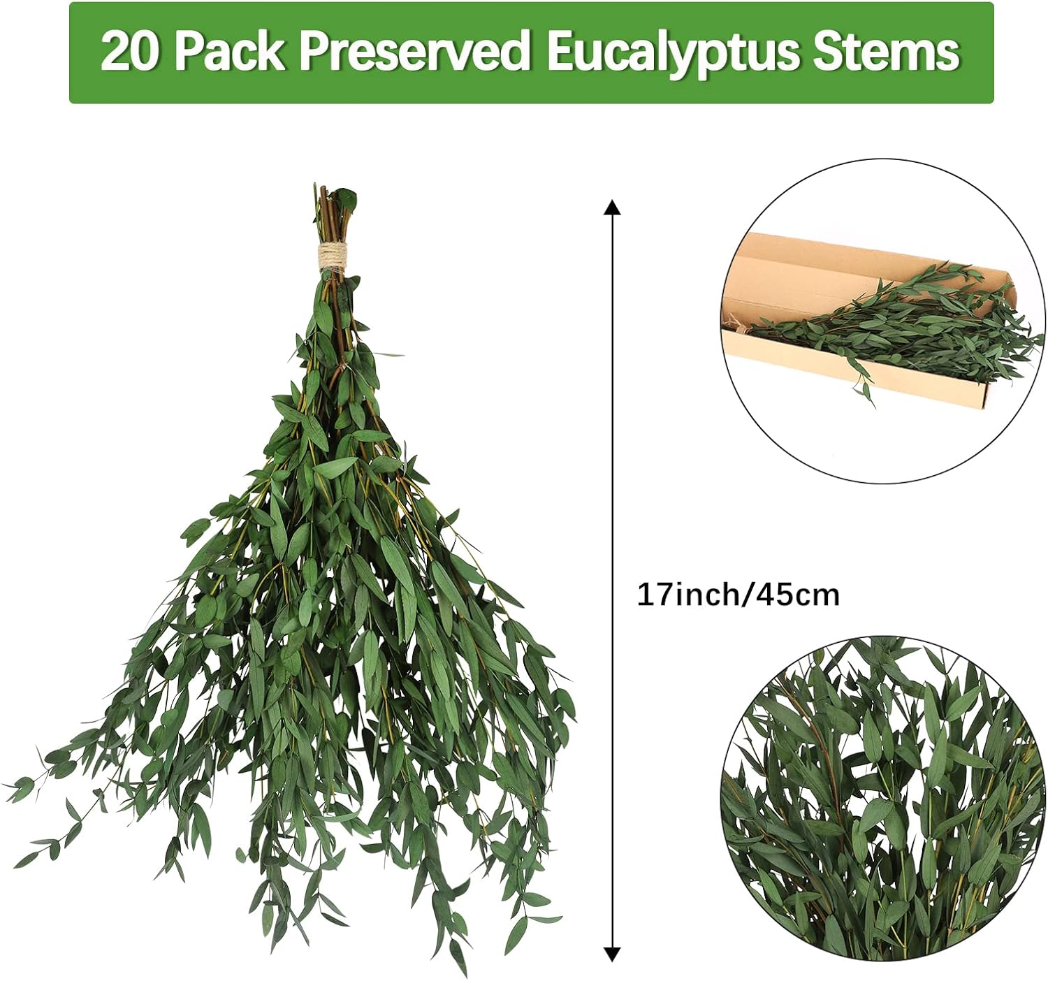 Real Eucalyptus Stems Greenery Decor 20PCS 17 Dried Willow Eucalyptus Plant Preserved Greenery Stems for Home Vase Filler Wedding Flowers Arrangement Spring Decorations