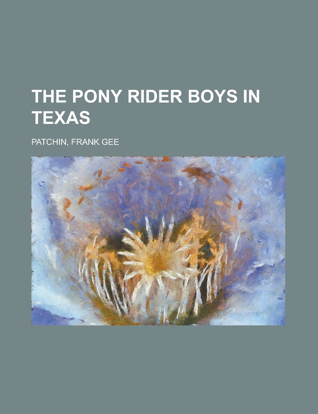 Buy The Pony Rider Boys in Texas — BookShops.in