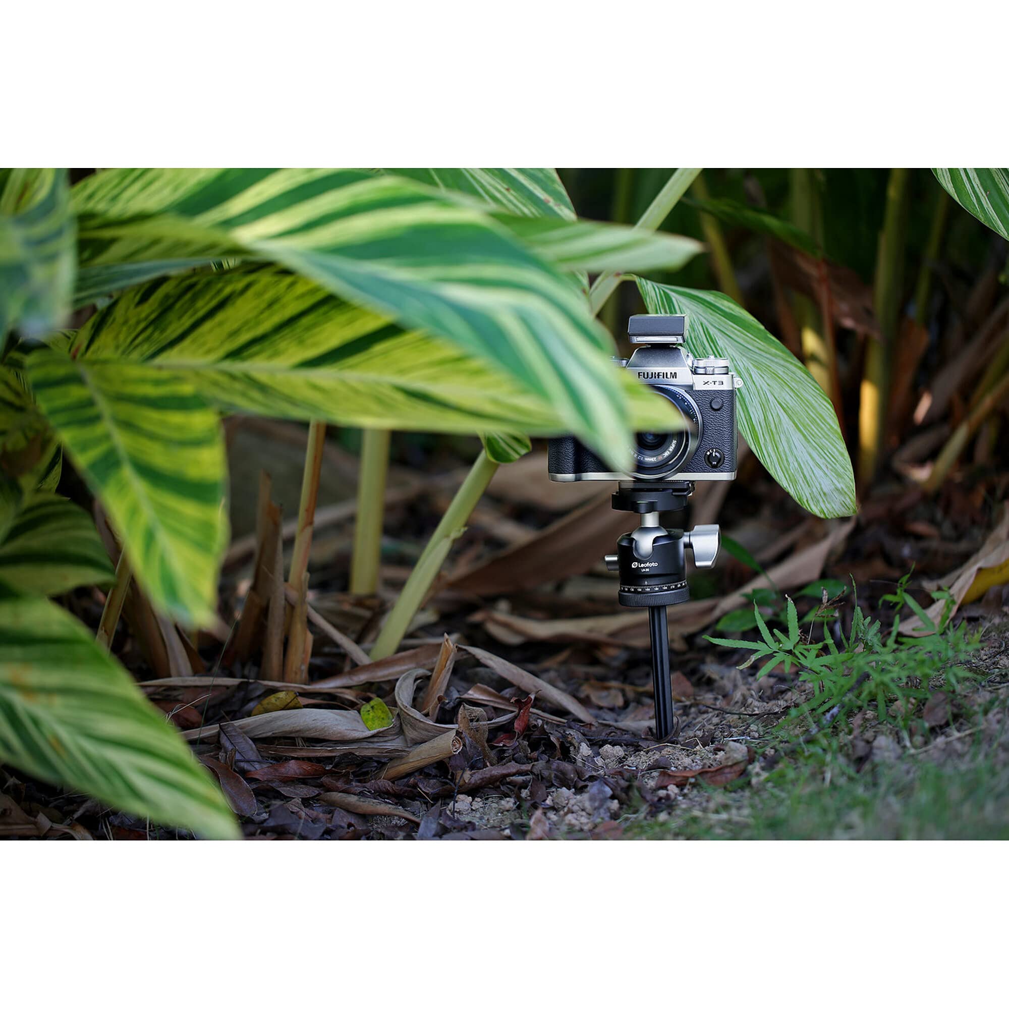 LEOFOTO Piquet de Sol A200 + Plaque de Support P50