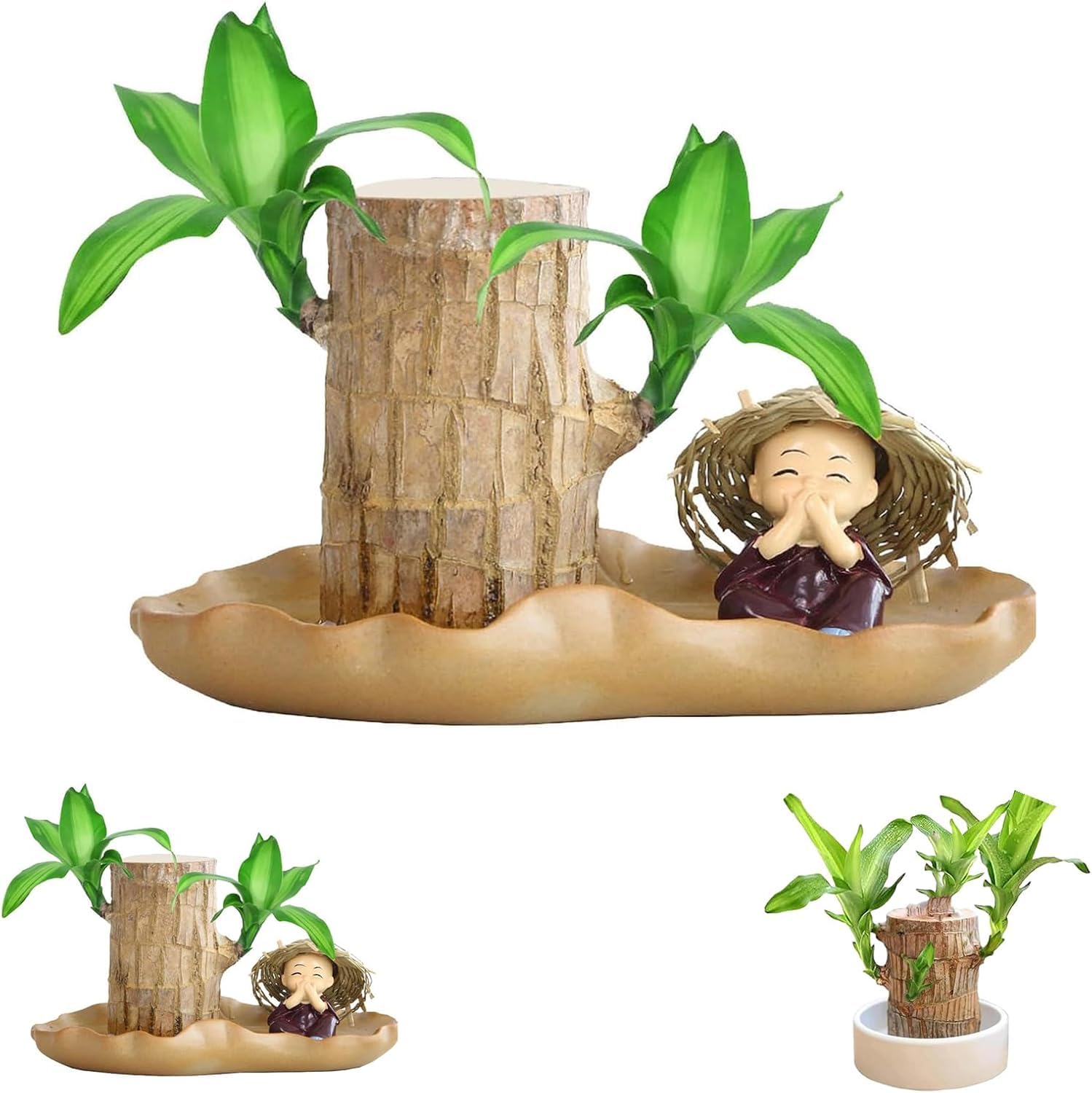 Brazilian Lucky Wood Plant Stand - Unique Decor -4