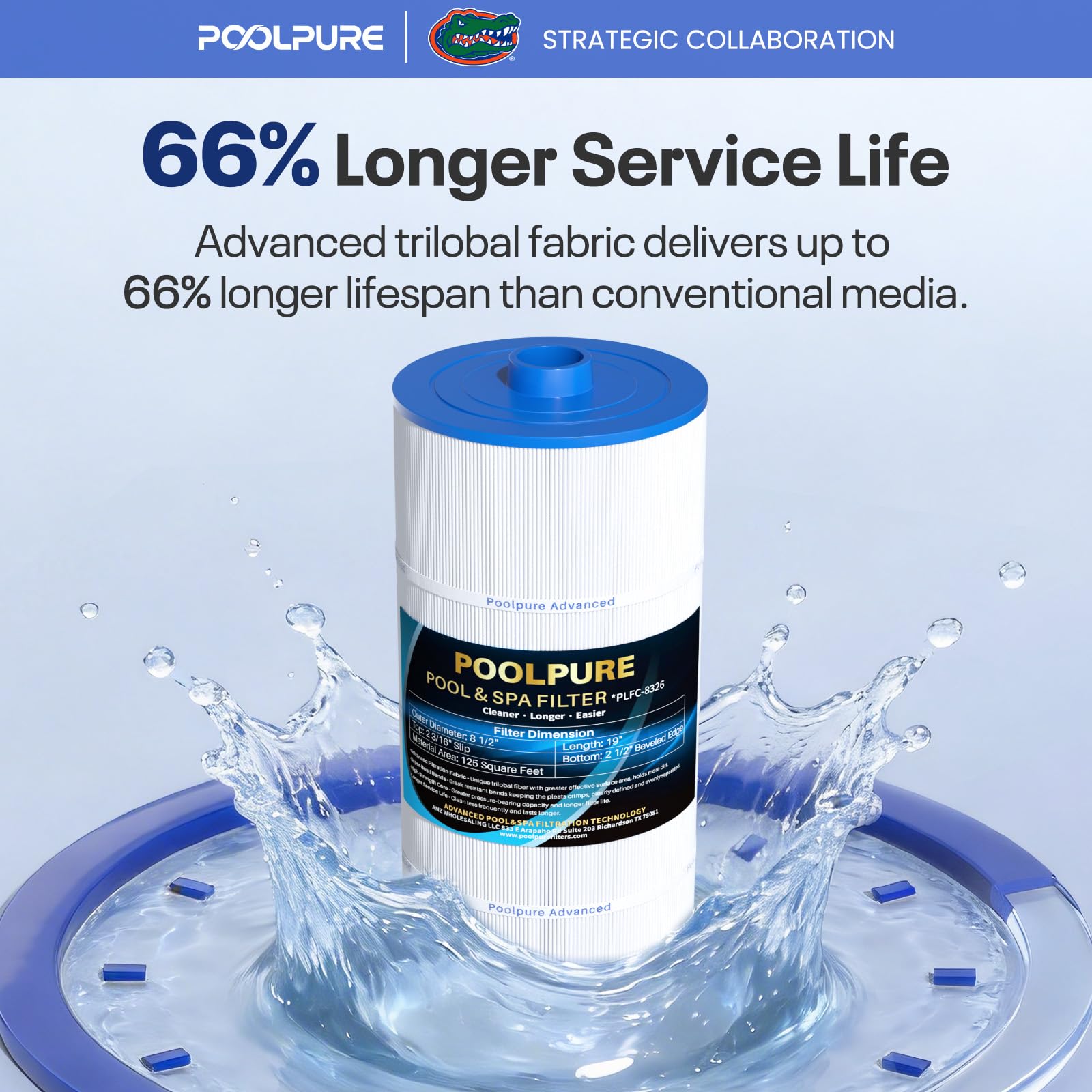 POOLPURE Filtre Spa remplace Sundance 6540-488, PSD125-2000, Unicel C-8326, Filbur FC-2780, Aladdin 22507, Baleen AK-70013, Magnum SU125, Cartouche filtrante de 125 m²