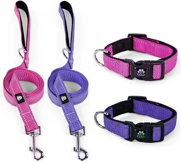 IVY&LANE 2 Pack Reflective Dog Collars and Leashs Set,Adjustable Neoprene Padded Dog Collar for Puppy, Breathable Nylon Pet Collar for Small Medium Large Dogs(Medium,Purple+Fuchsia)