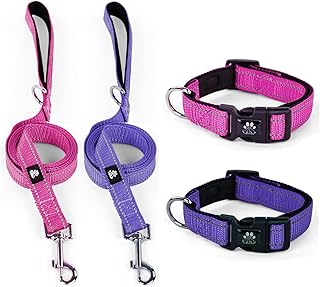 IVY&LANE 2 Pack Reflective Dog Collars and Leashs Set,Adjustable Neoprene Padded Dog Collar for Puppy, Breathable Nylon Pet Collar for Small Medium Large Dogs(Medium,Purple+Fuchsia)