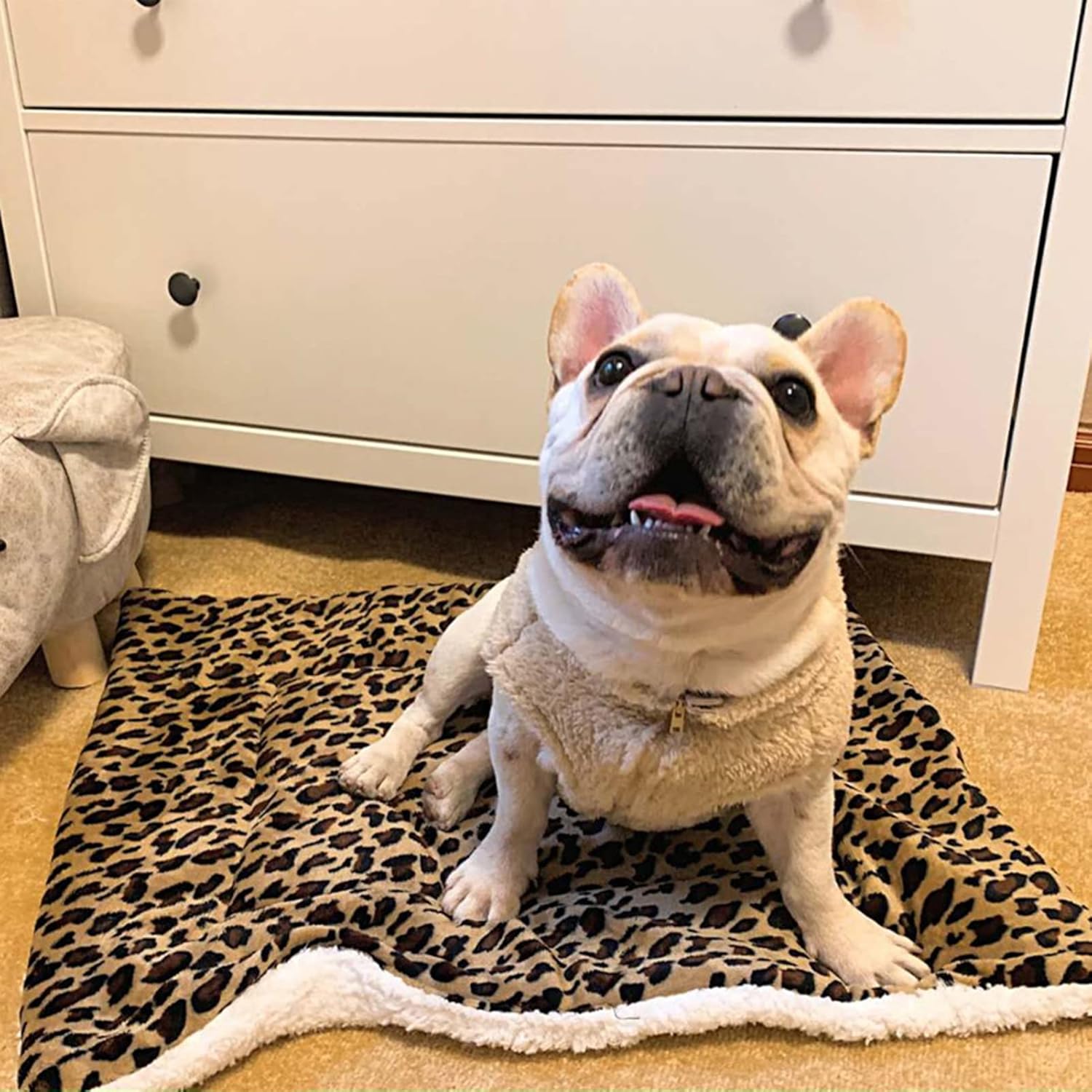 review Pet Breathable Moisture-absorbing Dog Crate Pad, Washable Thicken Rest Cloth Dog Crate Bed, Comfortable Soft Warm Pet Mat, Home Portable Warm Carpet Mat Leopard Print S
