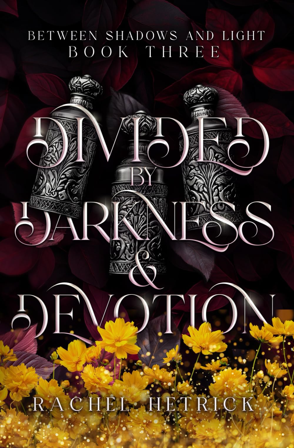 Divided By Darkness & Devotion (Between Shadows & Light Series)