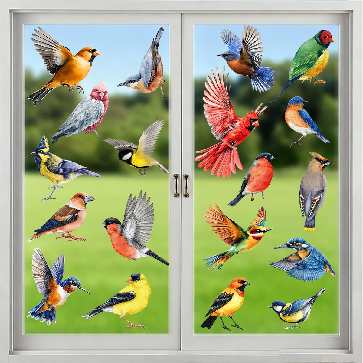 Autocollants pour fenêtres, Protection des oiseaux, Stickers oiseaux, Autocollants statiques anti-collision, Décorations de fenêtre adhésives pour vitres