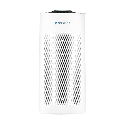 MESP Portable Air Sterilizing Purifier | No Filter Change Required | Covers 750 sq.ft Area | Portable Air Purifier | Kill PM2.5 99%, Bacteria 99.9% and Virus 99.99% | 10 Years Life of the Filter