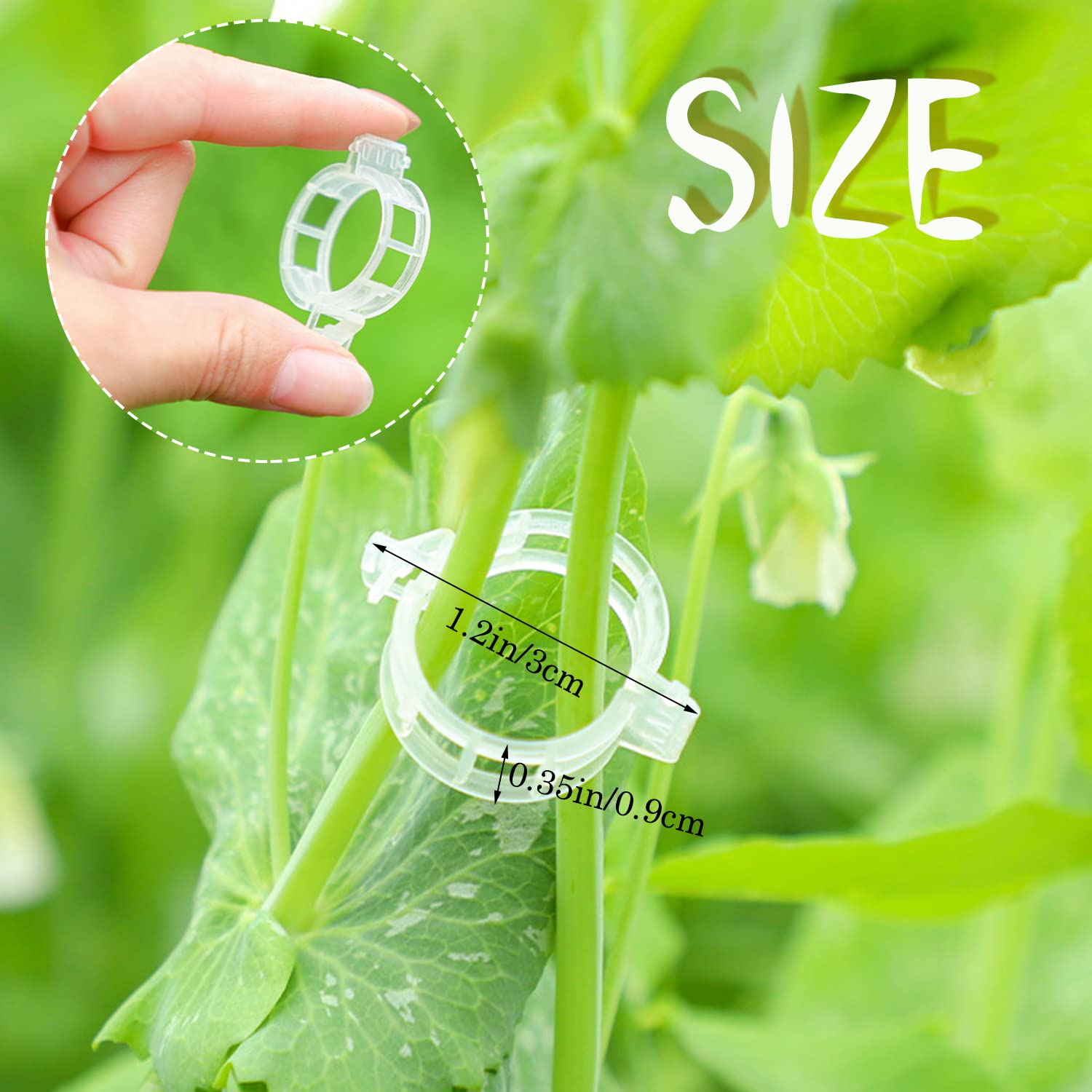 Trellis Clips For Roses Snapklik.com : 300 PCS Plant Support Clips,Garden Trellis Clips,Tomato ...