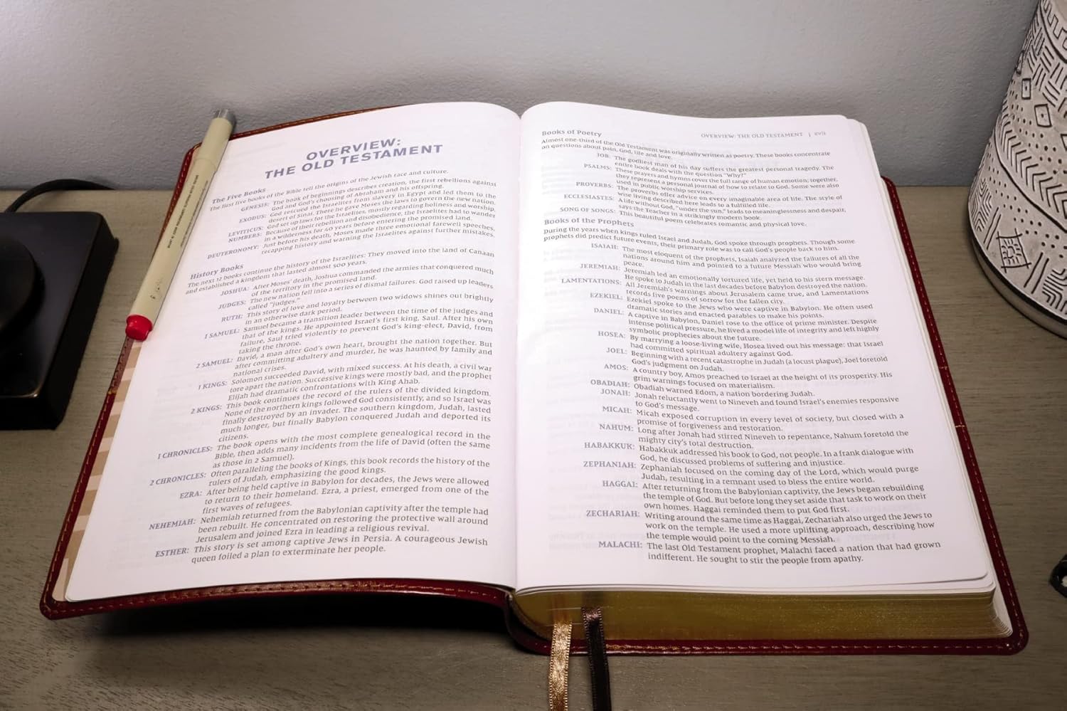 NIV, Student Bible, Leathersoft, Brown, Comfort Print      Imitation Leather – April 4, 2023