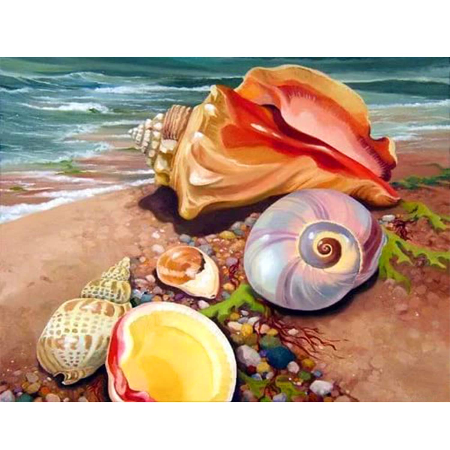 Reofrey DIY Diamond Painting Kits for Adults Sandy Beach, Diamond Art Conch Full Drill Round Rhinestone Diamond Painting Accessories, Cross Stitch Embroidery for Crafts (30x40 cm/ 12x16 inch)